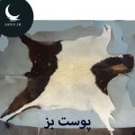 پوست بز سفید پایین بالا مشکی