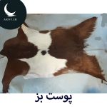 پوست بز سفید قهوه ای