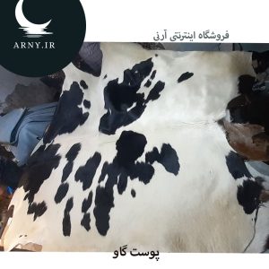پوست گاو بزرگ
