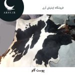 پوست گاو بزرگ جذاب - Image 3