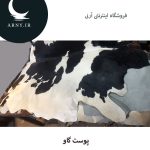 پوست گاو بزرگ جذاب - Image 5