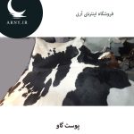 پوست گاو بزرگ جذاب