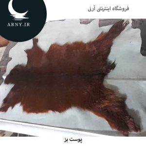پوست بز