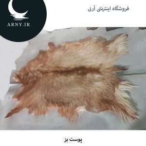پوست بز
