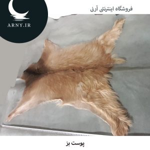 پوست بز