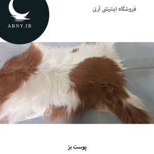 پوست بز