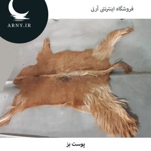 پوست بز