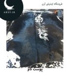 پوست گاو مشکی کد 1202 - Image 2