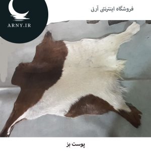 پوست بز