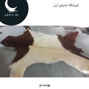 پوست بز