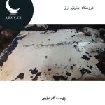 پوست گاو بزرگ سفید کد 1203 - Image 2