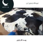 پوست گاو جذاب کد 1206 - Image 2