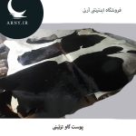 پوست گاو بزرگ جذاب کد 101 - Image 2