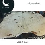 پوست گاو سفید خال قهوه ای جذاب کد 1205 - Image 2