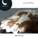 پوست گاو سفید قهوه ای کد 105 - Image 2