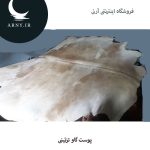 پوست گاو شیری کد 108 - Image 2