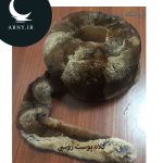 کلاه پوست روسی دُمدار  HM5 - Image 3