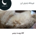 کلاه پوست روسی   HH9 - Image 2