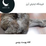 کلاه پوست روسی دمدار   HM8 - Image 2