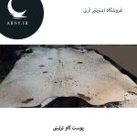 پوست گاو سفید خال قهوه ای جذاب کد 1205 - Image 3