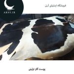 پوست گاو کد 1207 - Image 3