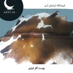 پوست گاو قهوه ای سفید کد 107 - Image 3