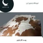 پوست گاو سفید قهوه ای کد 105 - Image 3