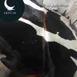 پوست گاو بزرگ جذاب کد 101 - Image 3