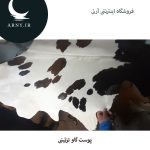 پوست گاو کد 109 - Image 3