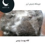 کلاه پوست روسی دُمدار  HM1 - Image 3