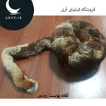 کلاه پوست روسی دُمدار  HM5 - Image 2