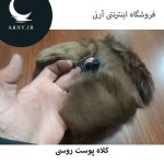 کلاه پوست روسی   HG18 - Image 3