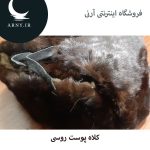 کلاه پوست روسی   HG17 - Image 3