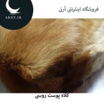 کلاه پوست روسی   HH9 - Image 3