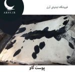 پوست گاو بزرگ کد 1201 - Image 3