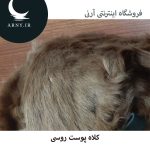 کلاه پوست روسی   HG14 - Image 3