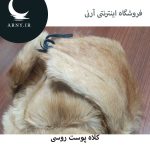 کلاه پوست روسی   HG15 - Image 3