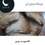 کلاه پوست روسی   HG2 - Image 3