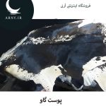 پوست گاو مشکی کد 1202 - Image 3