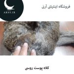 کلاه پوست روسی دمدار   HM8 - Image 3