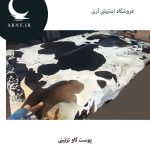 پوست گاو جذاب کد 1206 - Image 3
