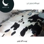پوست گاو سفید مشکی کد 106 - Image 3