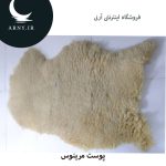 مرینوس کوچک