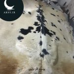 پوست گاو بزرگ سفید خال مشکی کد 102 - Image 4