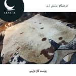 پوست گاو سفید خال قهوه ای جذاب کد 1205 - Image 4