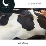 پوست گاو کد 1207 - Image 4