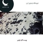 پوست گاو سفید مشکی کد 1204 - Image 4