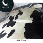 پوست گاو بزرگ کد 103 - Image 2