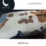 پوست گاو قهواه ای کد 1211 - Image 4