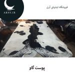 پوست گاو بزرگ کد 1201 - Image 4